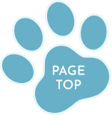 pagetop